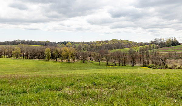 Village Green community photo